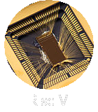 Risc V